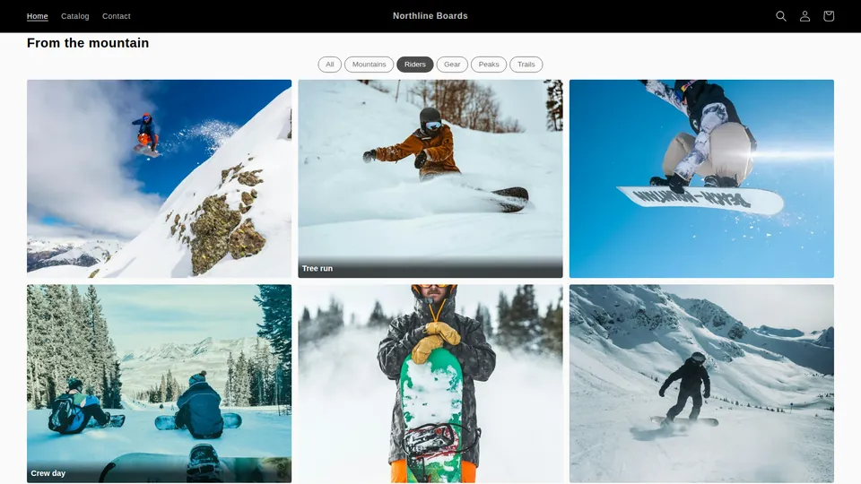 A portfolio gallery with a tag filter bar rendered on a Shopify development store by the Snug Gallery theme app block